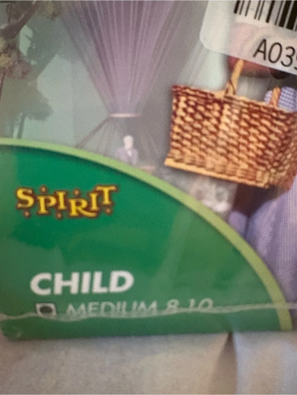Spirit official wizard